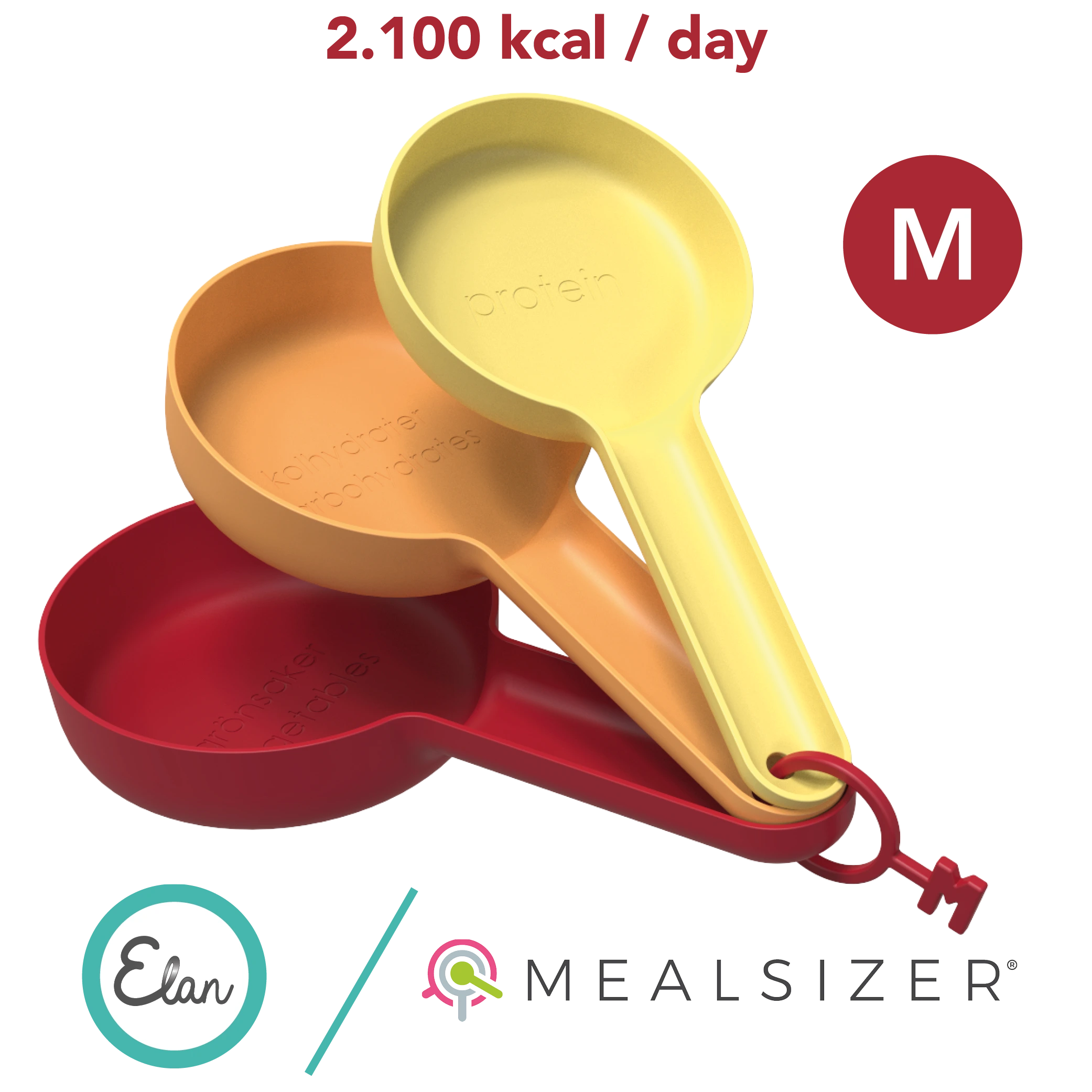 Mealsizer® | Medium