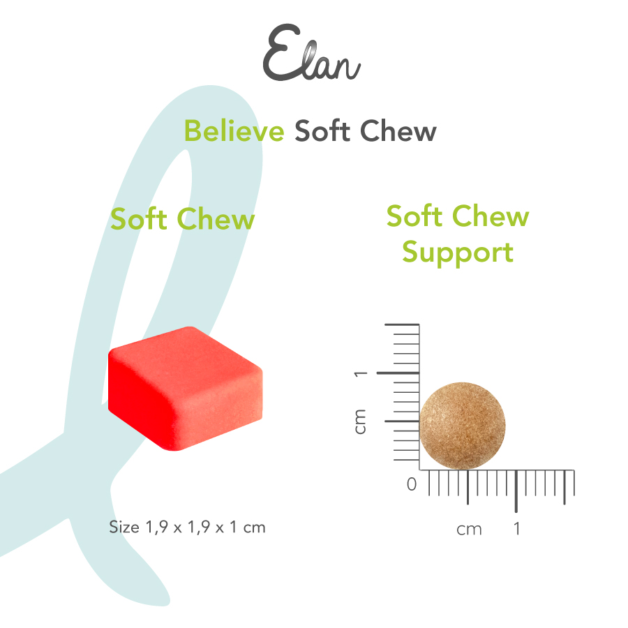 elan believe soft chew support afmeting